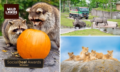 Dagentree voor WILDLANDS Adventure Zoo Emmen