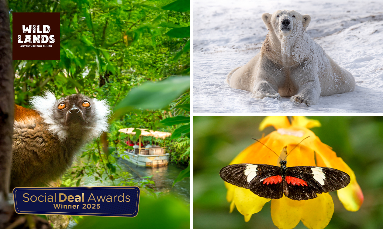 Tageseintritt für WILDLANDS Adventure Zoo Emmen