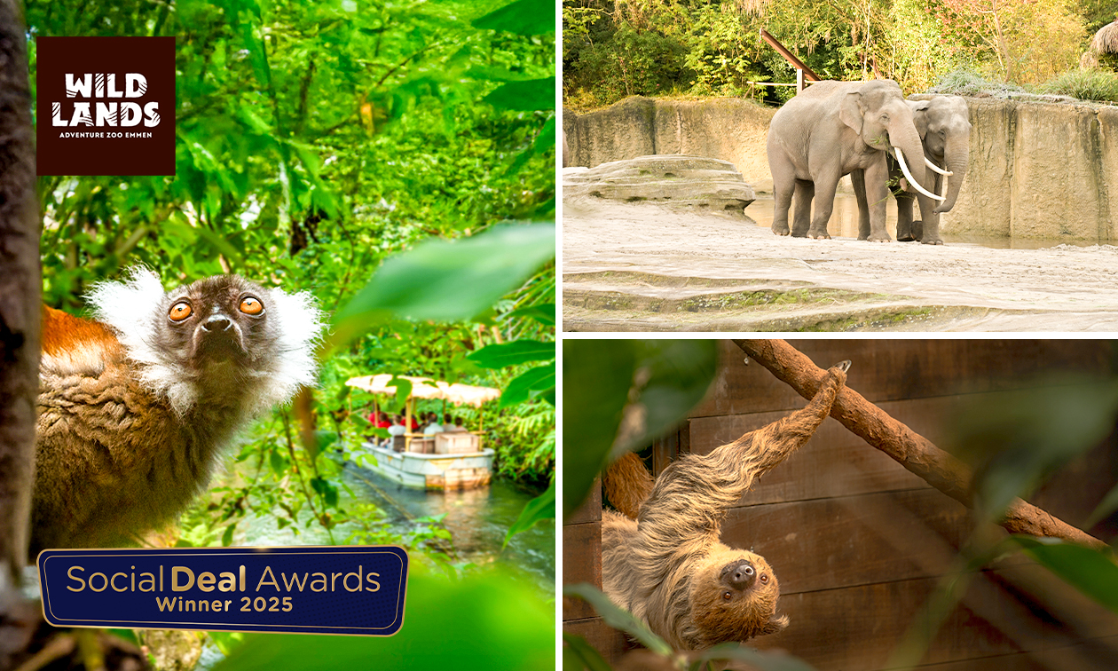 Dagentree voor WILDLANDS Adventure Zoo Emmen