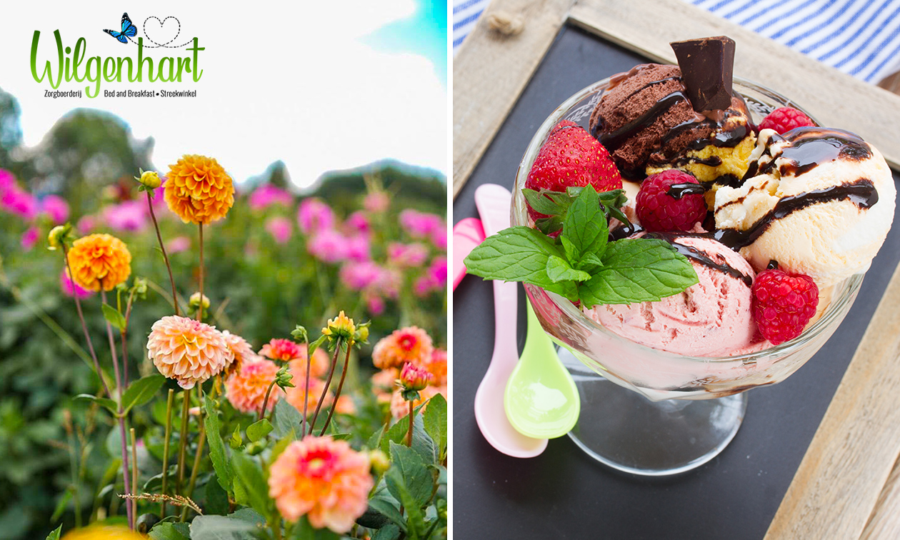 Bloemen plukken + luxe ijscoupe bij Wilgenhart