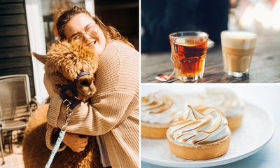 Alpaca meet & feed + koffie/thee en gebak bij Wilgenhart