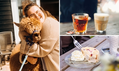 Alpaca meet & feed + koffie/thee en gebak bij Wilgenhart