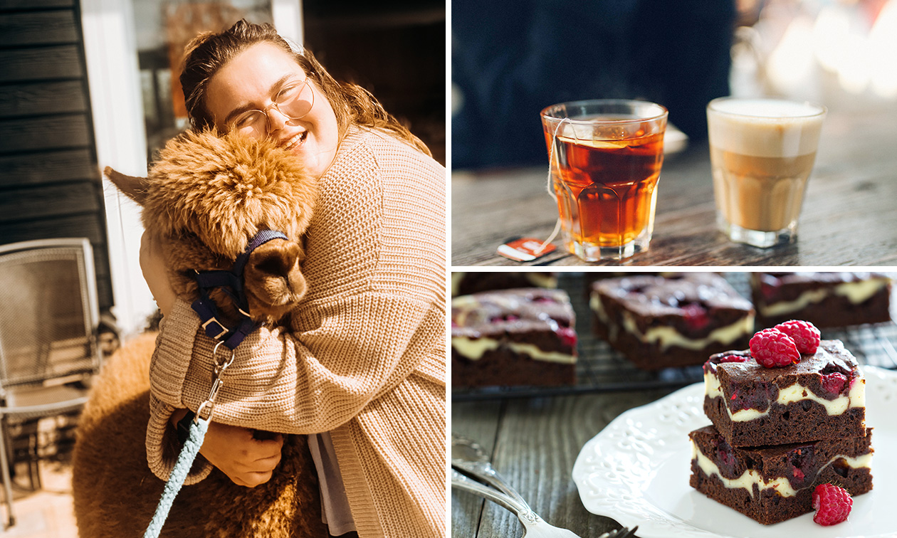 Alpaca Winter Meet & Feed + drankje naar keuze + gebak bij Wilgenhart