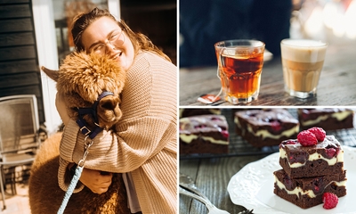 Alpaca Winter Meet & Feed + drankje naar keuze + gebak bij Wilgenhart