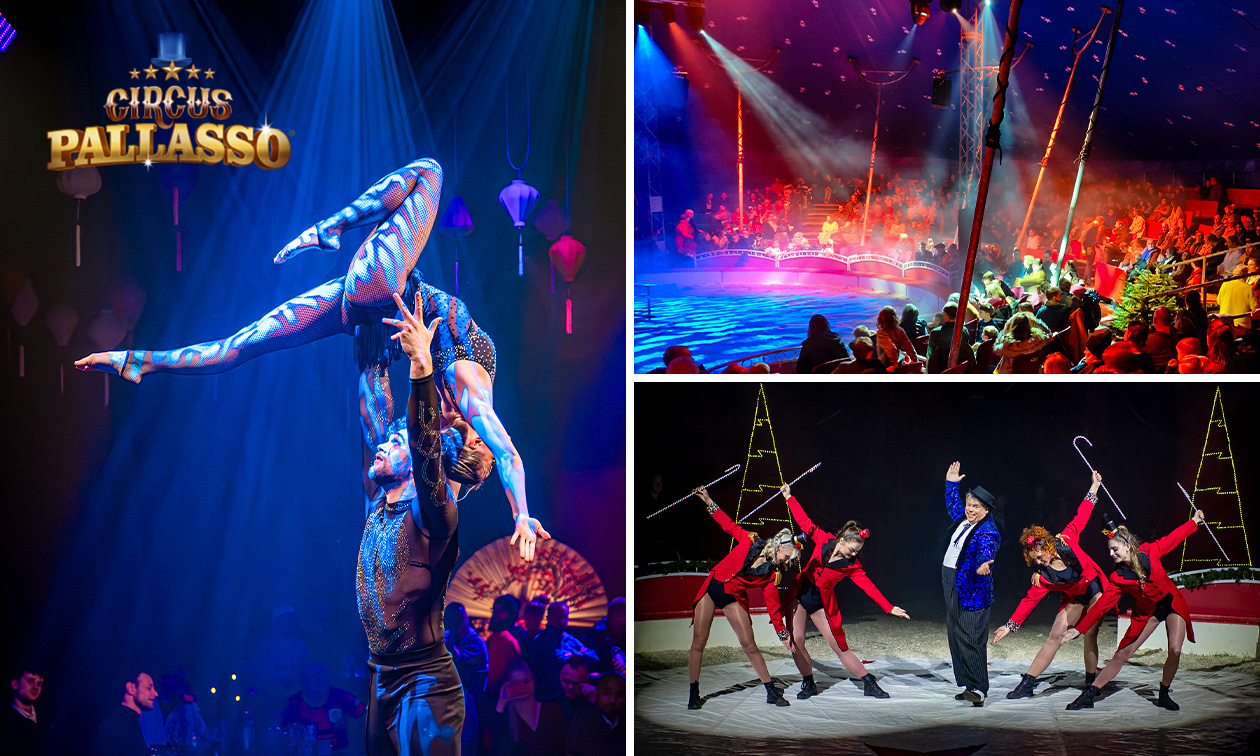 Ticket Wintercircus Pallasso