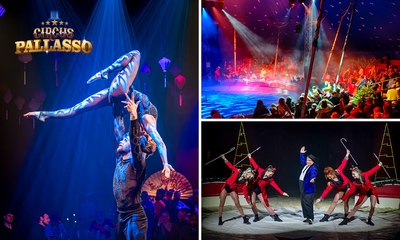 Ticket Wintercircus Pallasso