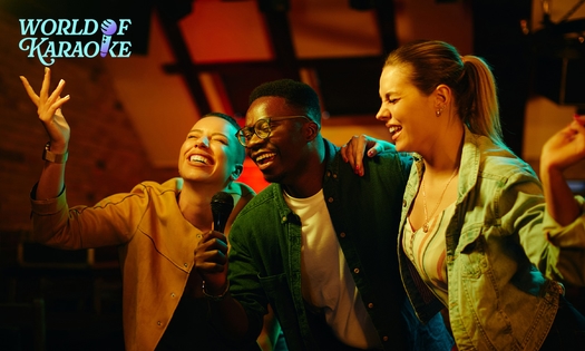 Privé-karaoke (2 uur) + drankje in hartje Amsterdam (4 tot 25 pers.)