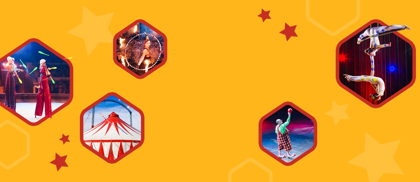 Ontdek de meest betoverende circusdeals met hoge korting