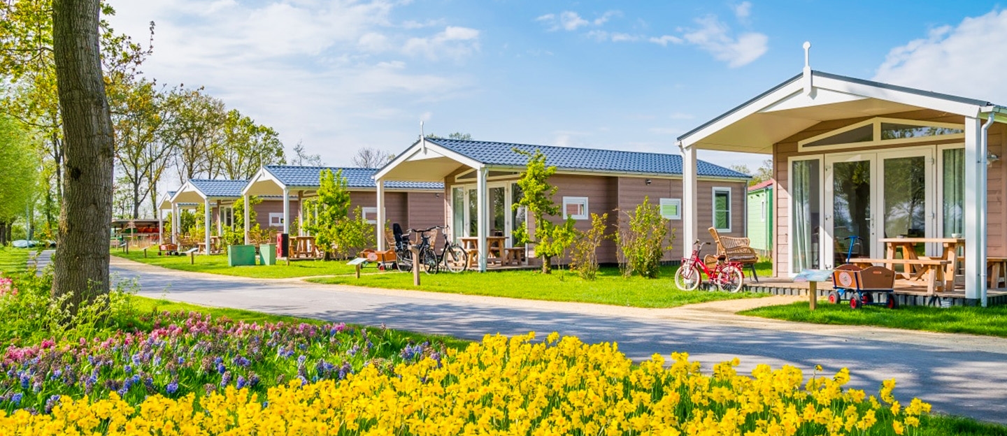 Familie Resort Molenwaard: geniet van een onvergetelijke familievakantie