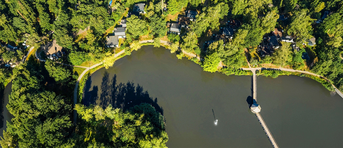 Center Parcs Limburgse Peel: fijne quality time samen in bosrijke omgeving
