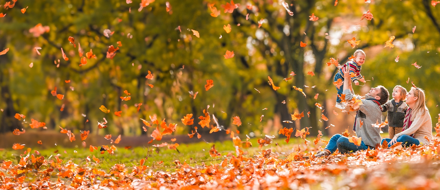 Sortez en automne avec les meilleurs deals