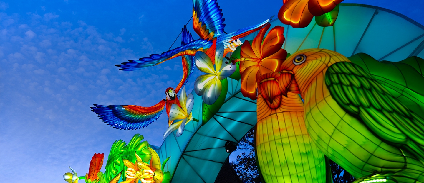 Met korting naar Ouwehands Dierenpark Light Nights: stralende avonturen in de avonduren