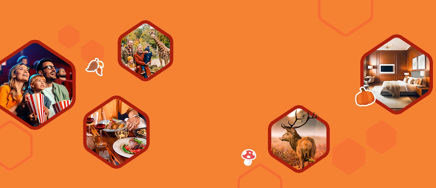 Discover and enjoy in the autumn holidays