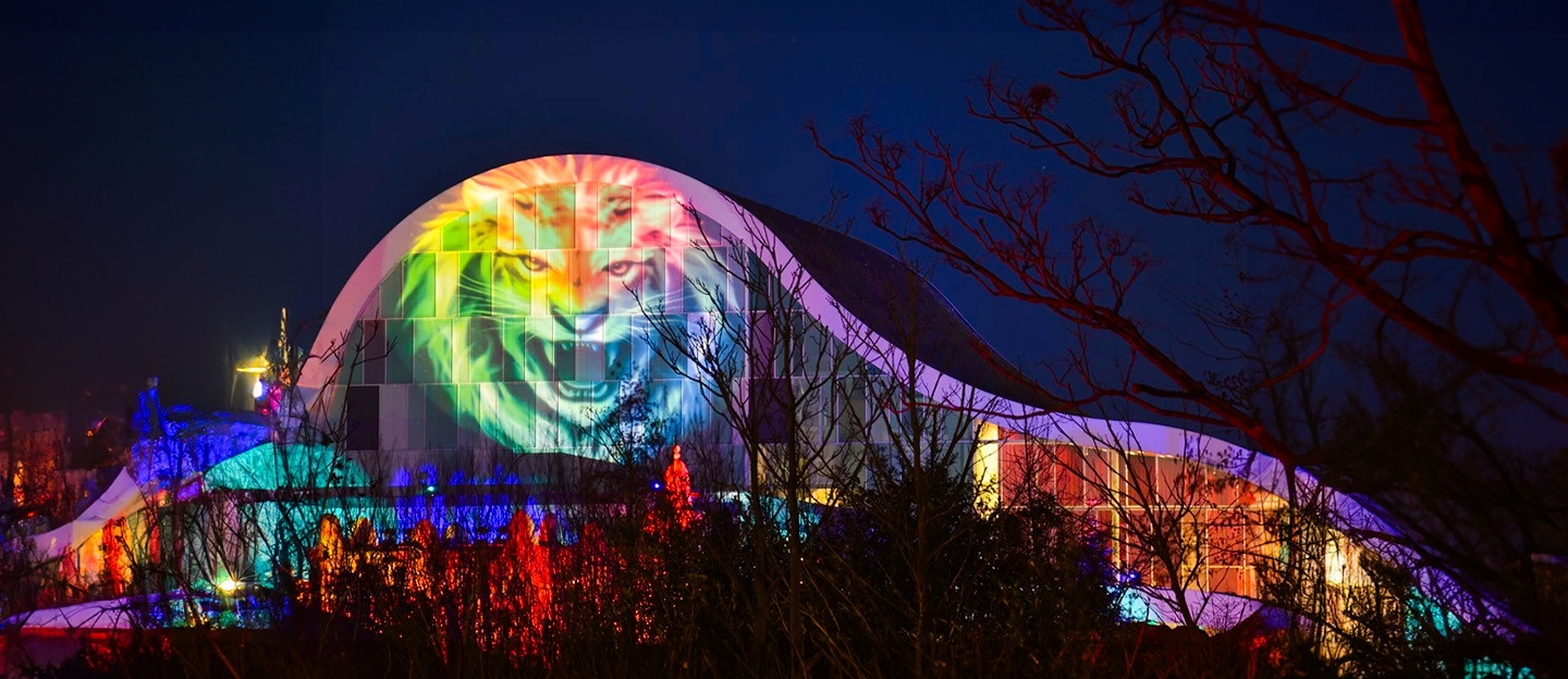 WILDnights bij WILDLANDS Adventure Zoo Emmen: magische avonturen in de avonduren
