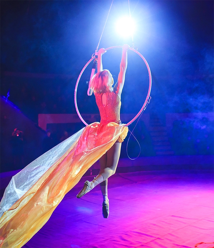 Bezoek het circus in de Achterhoek : scoor topdeals op tickets via Social Deal