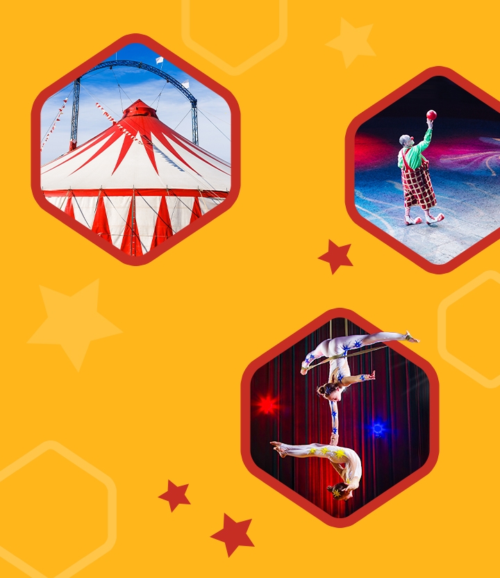Ontdek de meest betoverende circusdeals met hoge korting