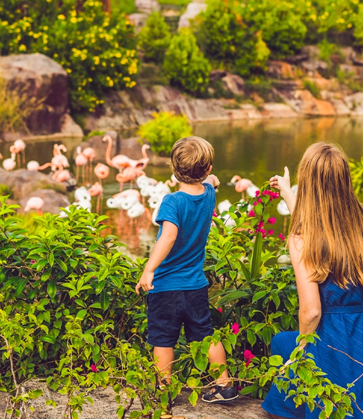 https://images.socialdeal.nl/img/dp-header-mobile-dierentuin-belgie.jpg