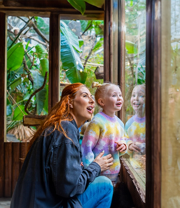 https://images.socialdeal.nl/img/dp-header-mobile-dierentuin-nederland.jpg