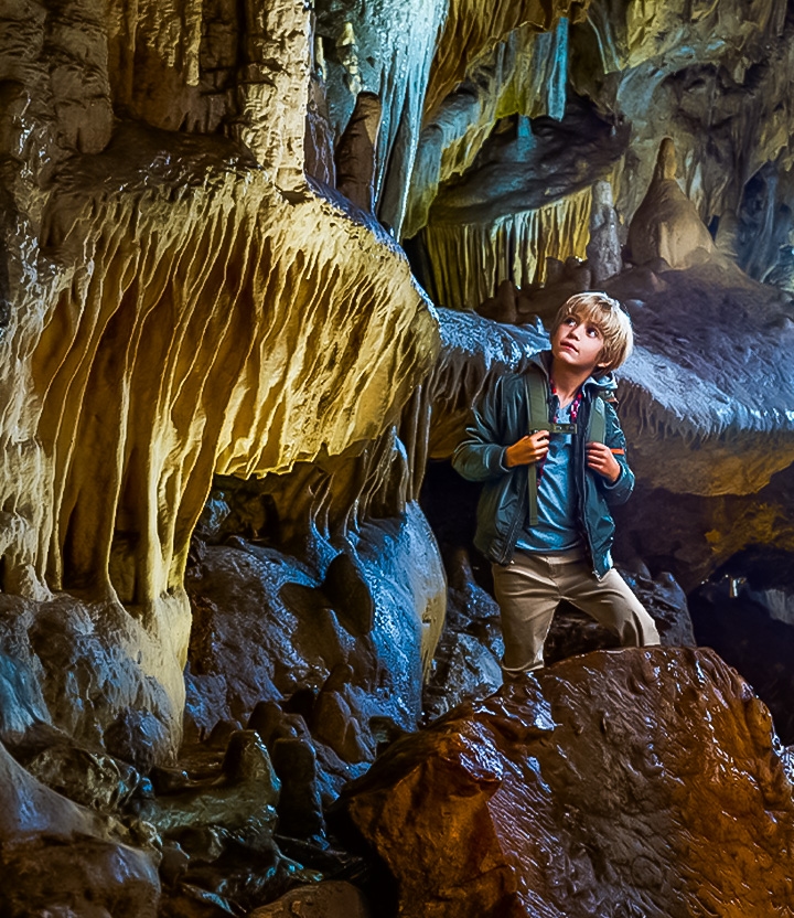 Domein van de Grotten van Han: verken de Ardense natuur