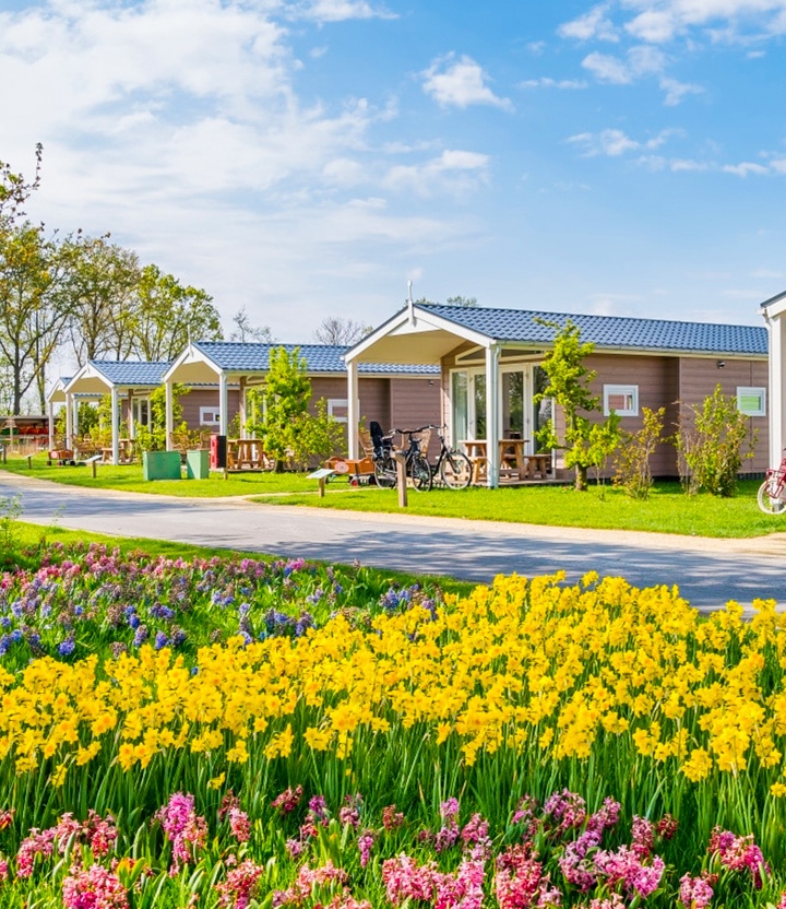 Familie Resort Molenwaard: geniet van een onvergetelijke familievakantie