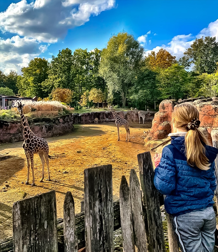 Bezoek GaiaZOO met korting en ervaar hoe bijzonder onze aarde is!