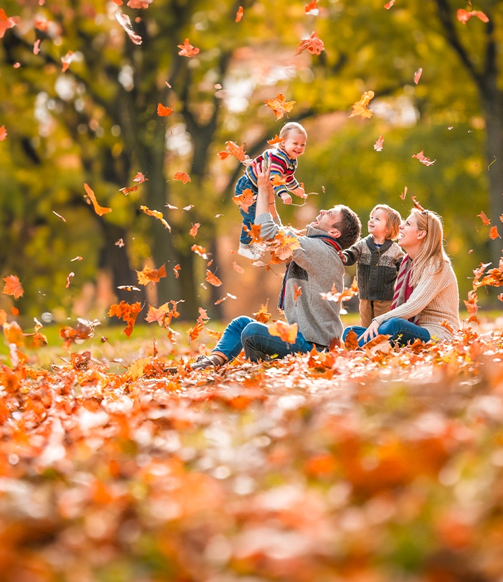 Sortez en automne avec les meilleurs deals