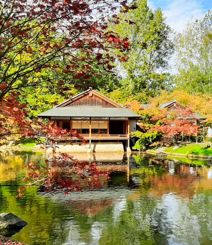 Bezoek de Japanse Tuin in Hasselt en dompel je onder in de Japanse cultuur