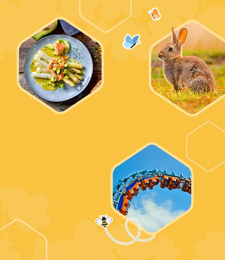 Celebrate spring with radiant discounts