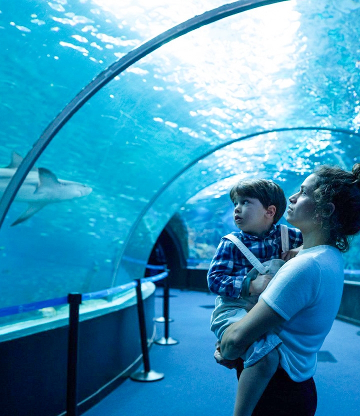 Bezoek Nausicaá met korting: ontdek het grootste aquarium van Europa