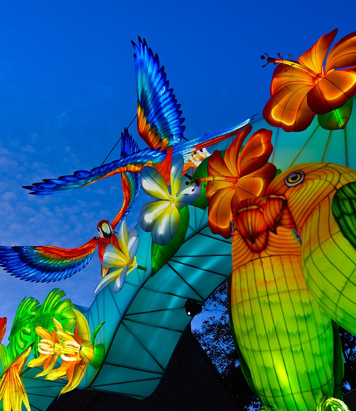 Met korting naar Ouwehands Dierenpark Light Nights: stralende avonturen in de avonduren
