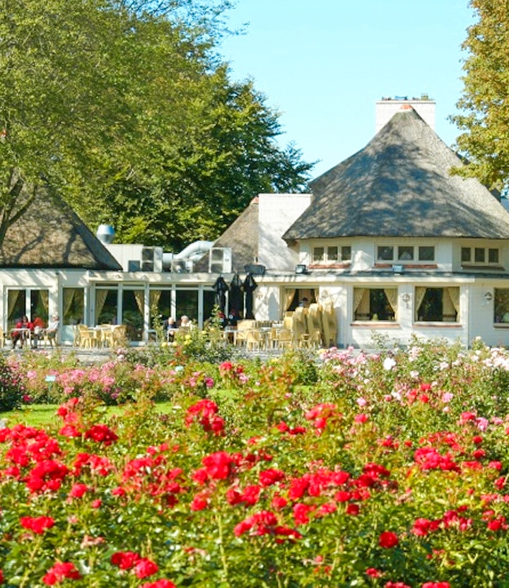 Rosarium Westbroekpark: geniet onbeperkt van oriëntaalse heerlijkheden
