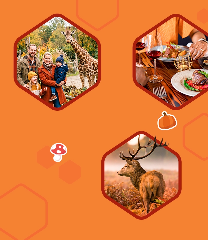 Discover and enjoy in the autumn holidays