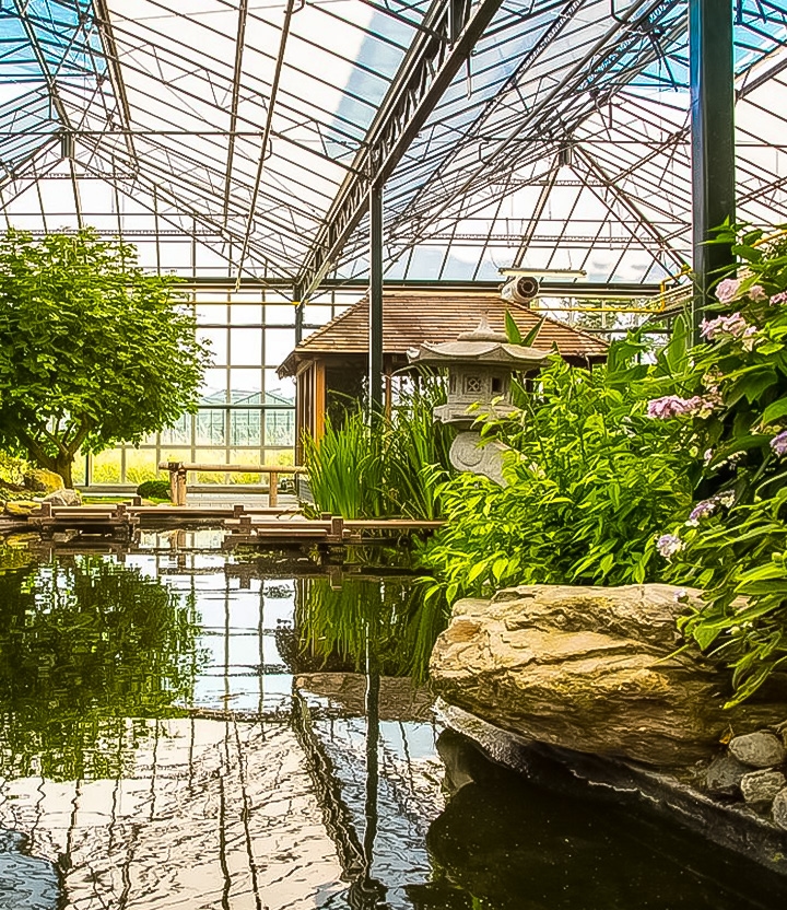 Met korting uit eten bij Watertuin Naaldwijk via Social Deal