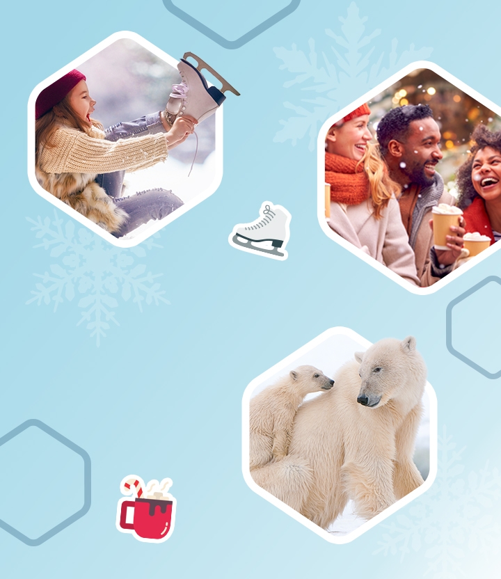 Ontdek de leukste winterse uitjes