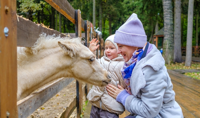 Geef deze kerst een gezellig uitje cadeau! 🎄