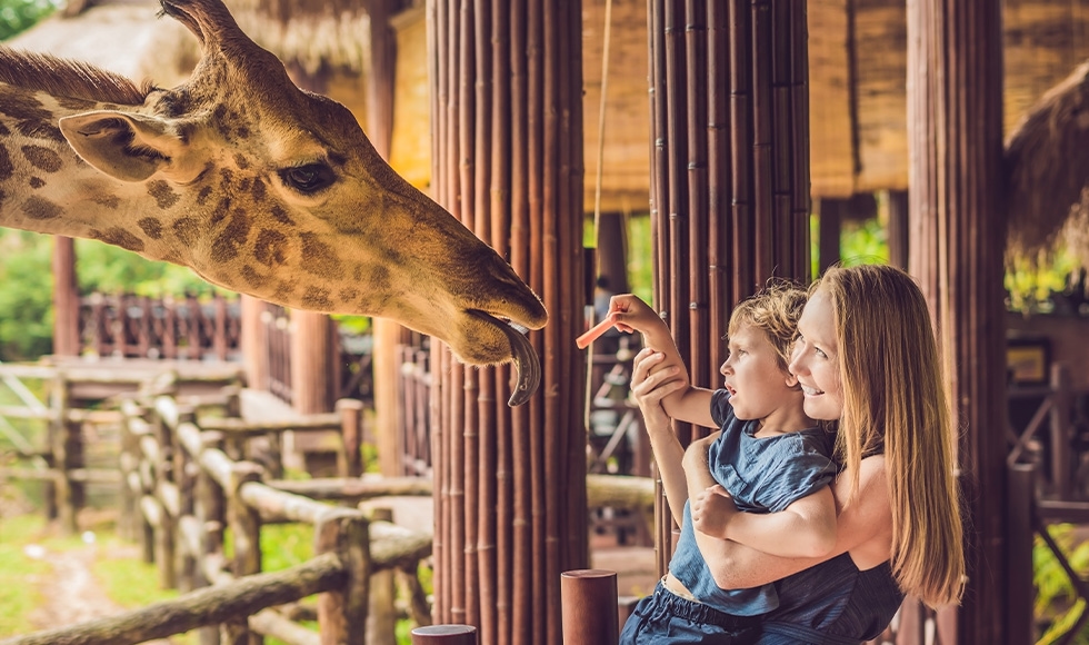 Comment puis-je utiliser mon voucher Social Deal ?