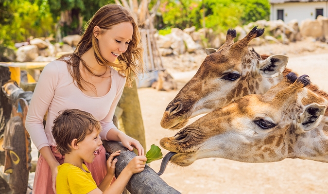 Ontdek de leukste pretparken en dierentuinen 🎡