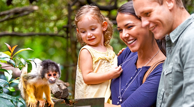 Parcs d’attractions, zoos et meilleurs deals