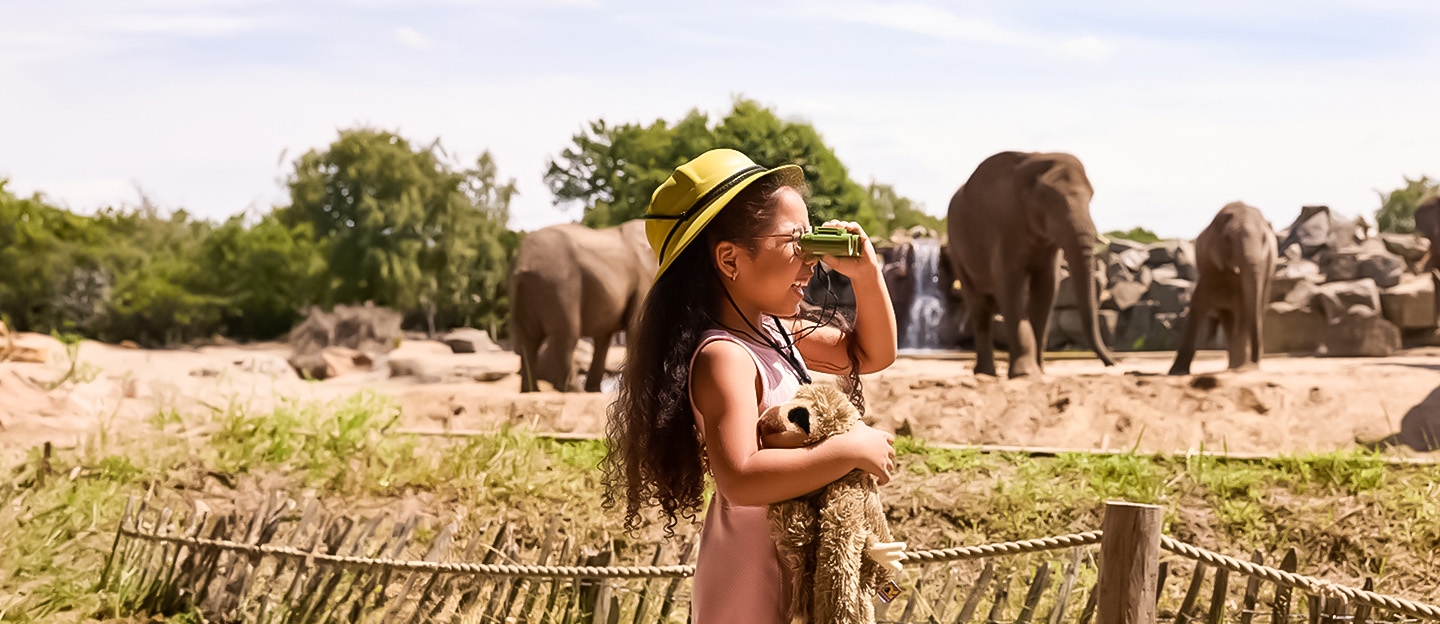 Safaripark Beekse Bergen: met korting op safari via Social Deal