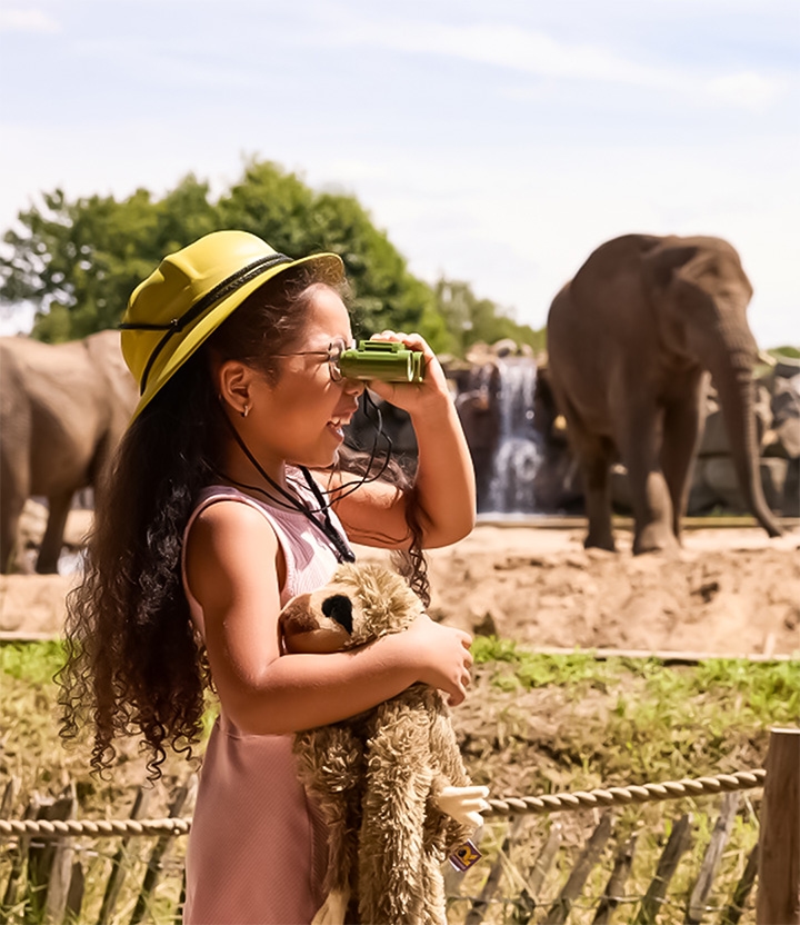 Safaripark Beekse Bergen: met korting op safari via Social Deal