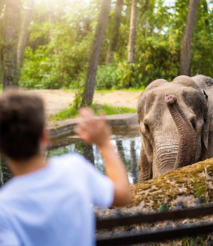 Burgers’ Zoo: ontdek deze prachtige dierentuin met korting via Social Deal
