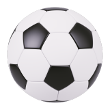 Fußball-WM
